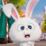 Avatar de Carla Rivera